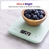 Etekcity Food Nutrition Scale, Digital Grams and Ounces, Large | Kitchen scale with tare, ideal for baking, weight loss, keto, meal prep, liquids and jewelry, 304 Stainless Steel(Mint Green)